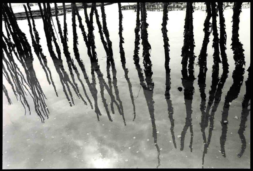 Christian Isachsen Kiel Fotograf