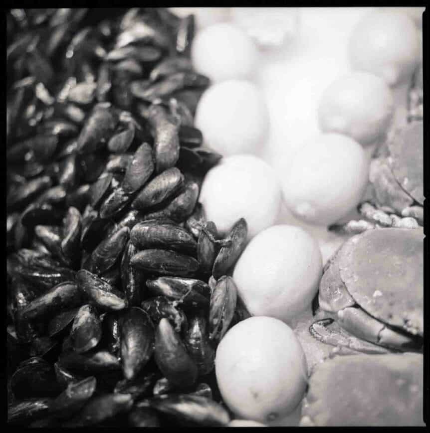 Christian Isachsen Kiel Fotograf