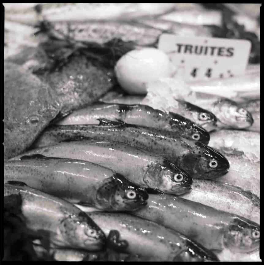 Christian Isachsen Kiel Fotograf