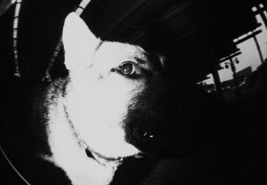 Christian Isachsen Kiel Fotograf